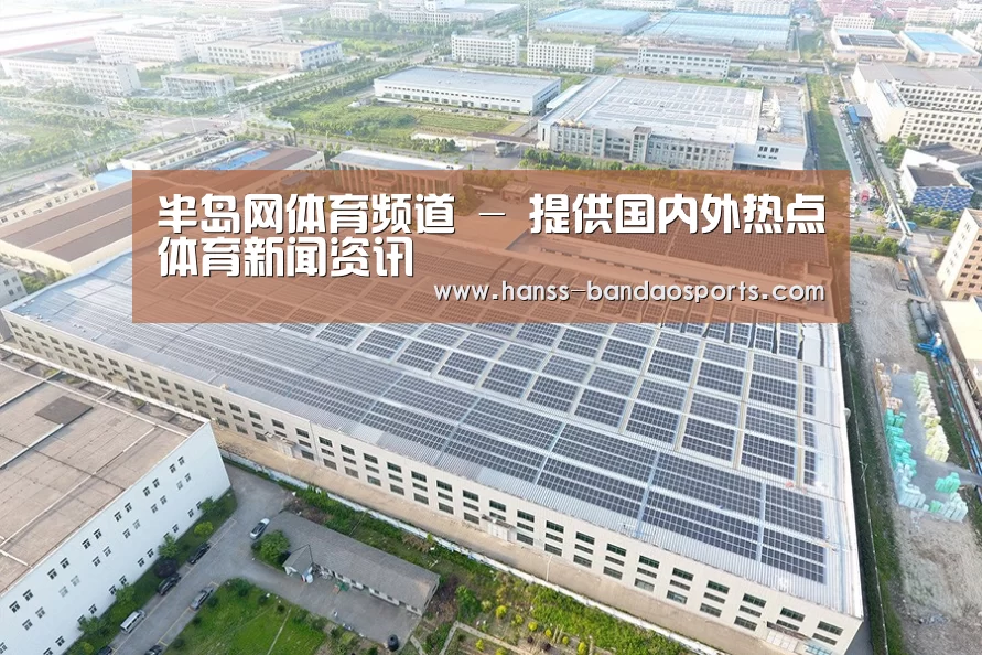 案例展示二