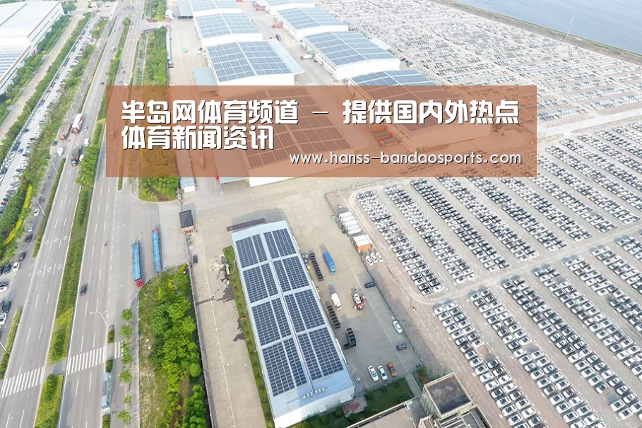案例展示一