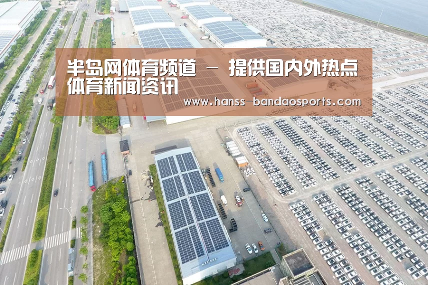 案例展示三