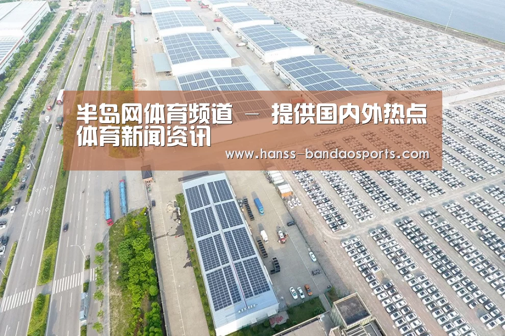 案例展示二