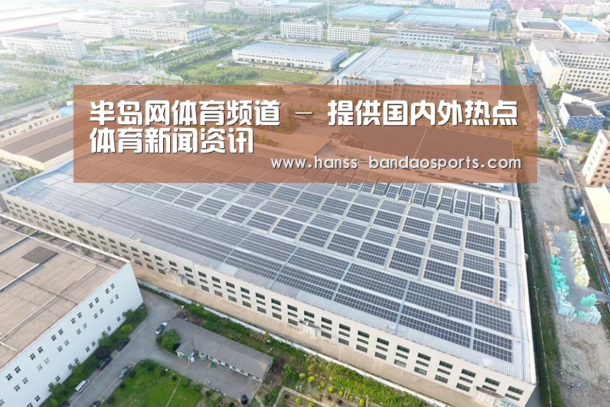 案例展示四