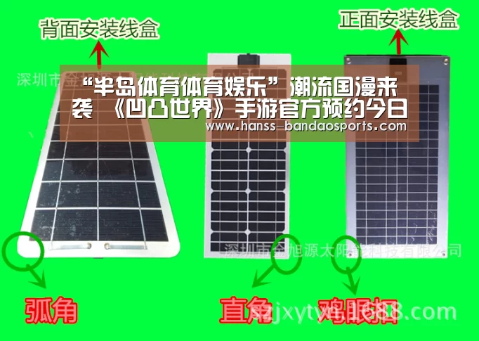半岛体育体育网