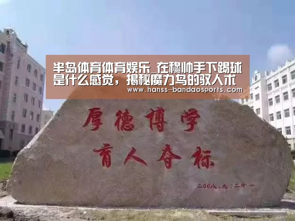 半岛体育体育网