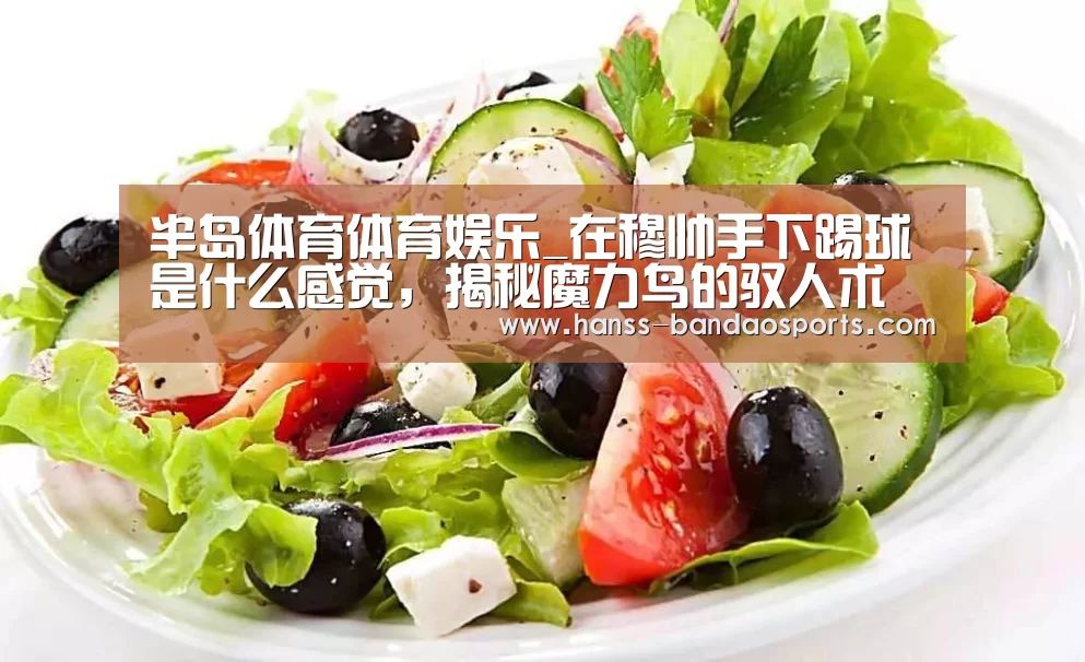 半岛体育体育网