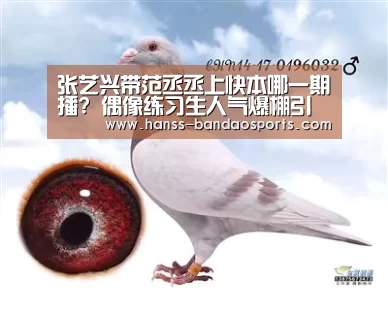 半岛体育体育娱乐