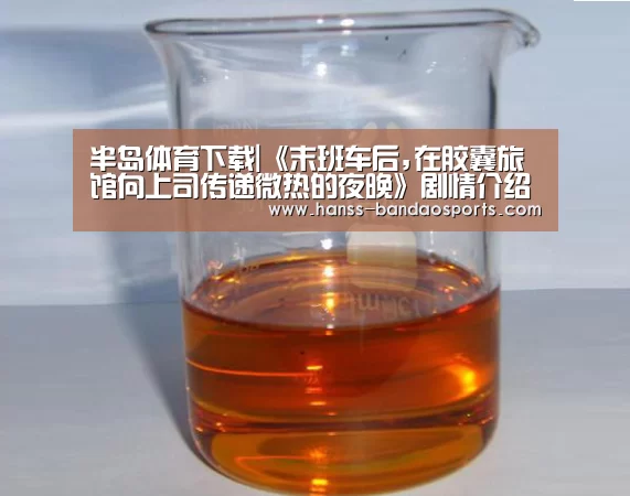 半岛体育下载|《末班车后,在胶囊旅馆向上